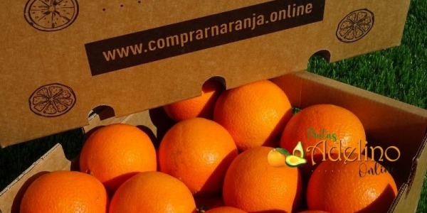 Naranjas valencianas, directamente a tu casa